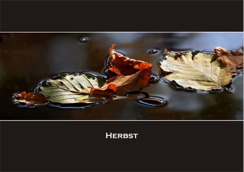 Herbst