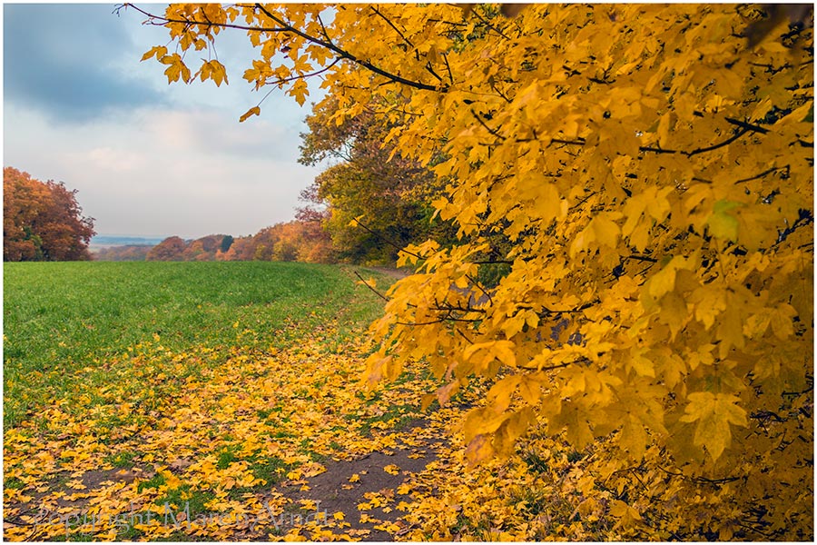 Herbst ..