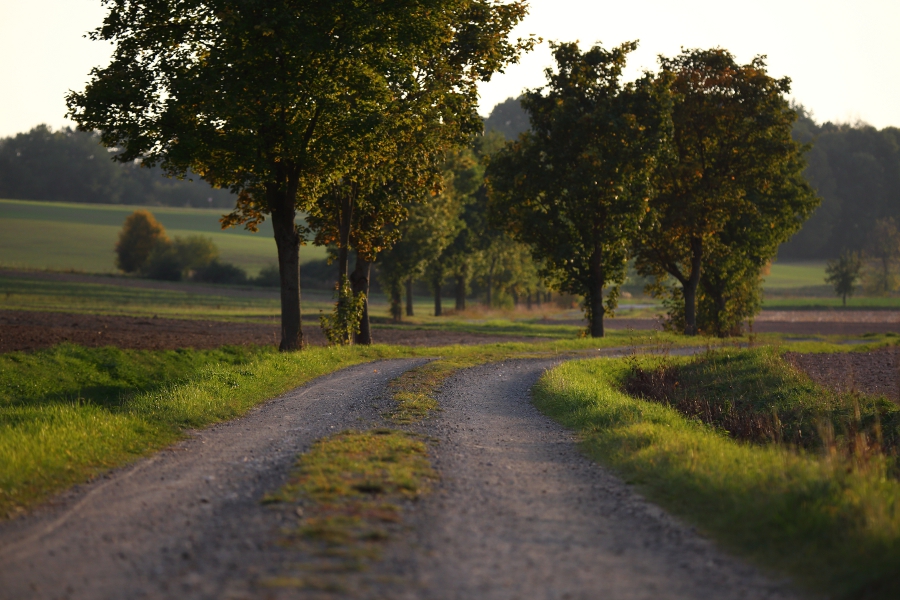 Herbst