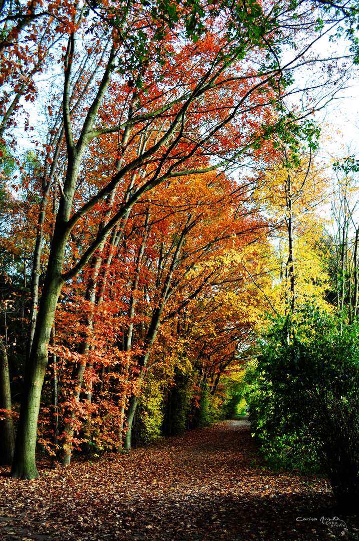 Herbst