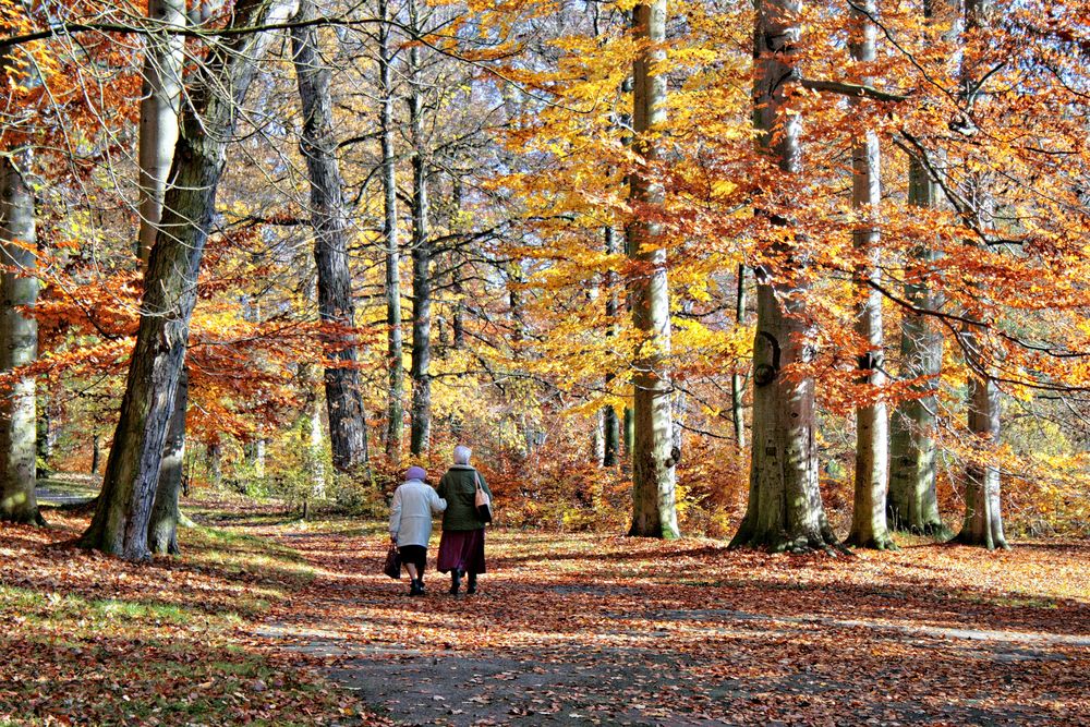 Herbst