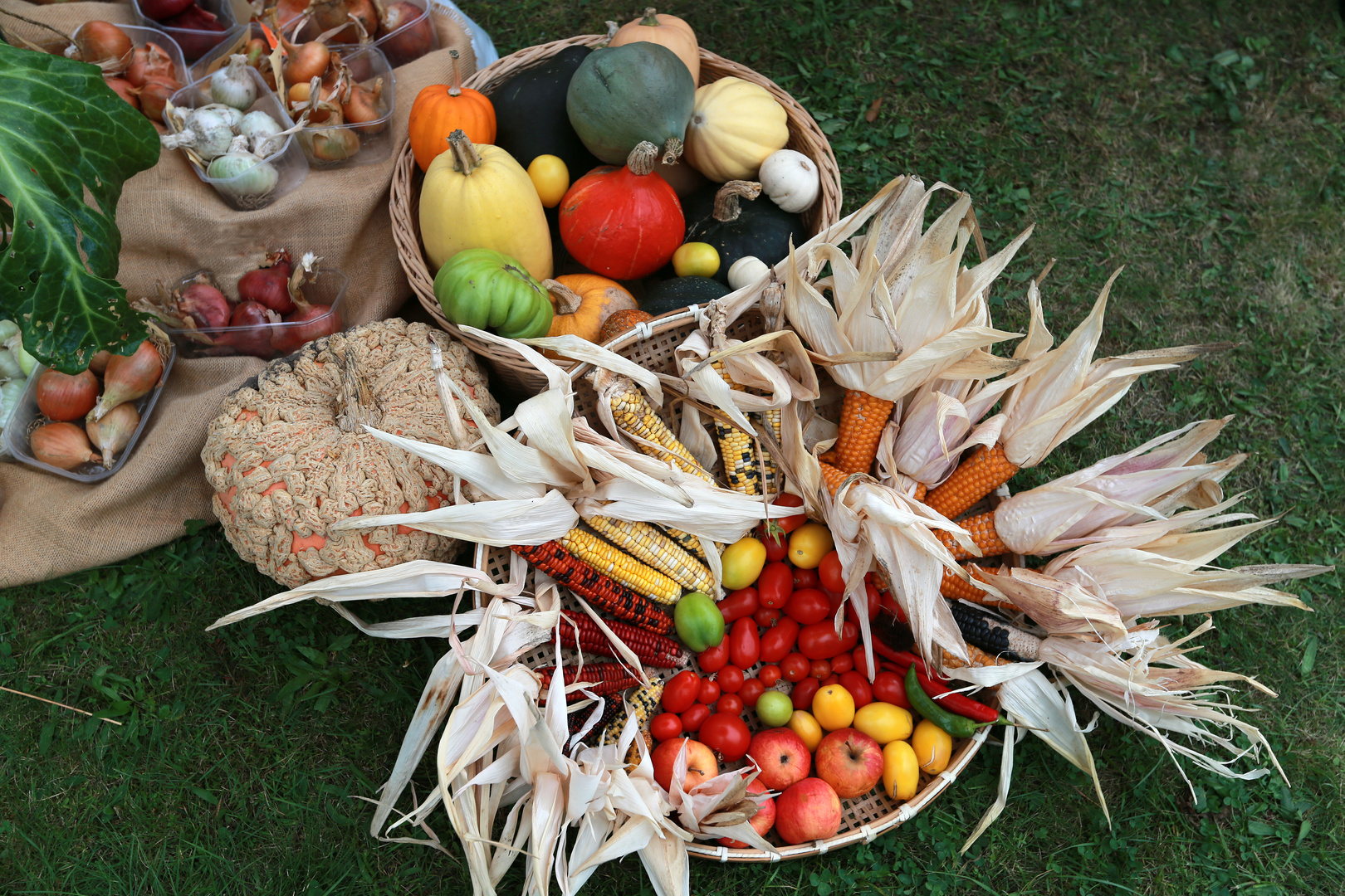 Herbst: Feld- und Gartenfrüchte