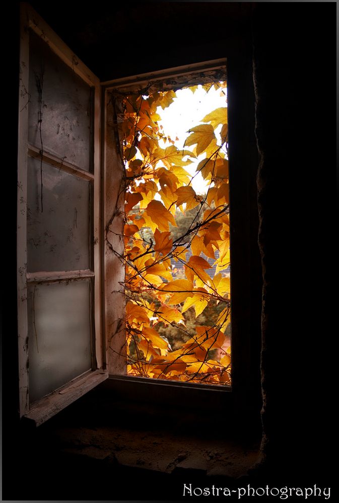 Herbst Fenster