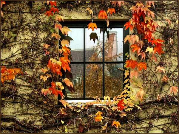 Herbst - Fenster Foto & Bild | architektur, fenster & türen