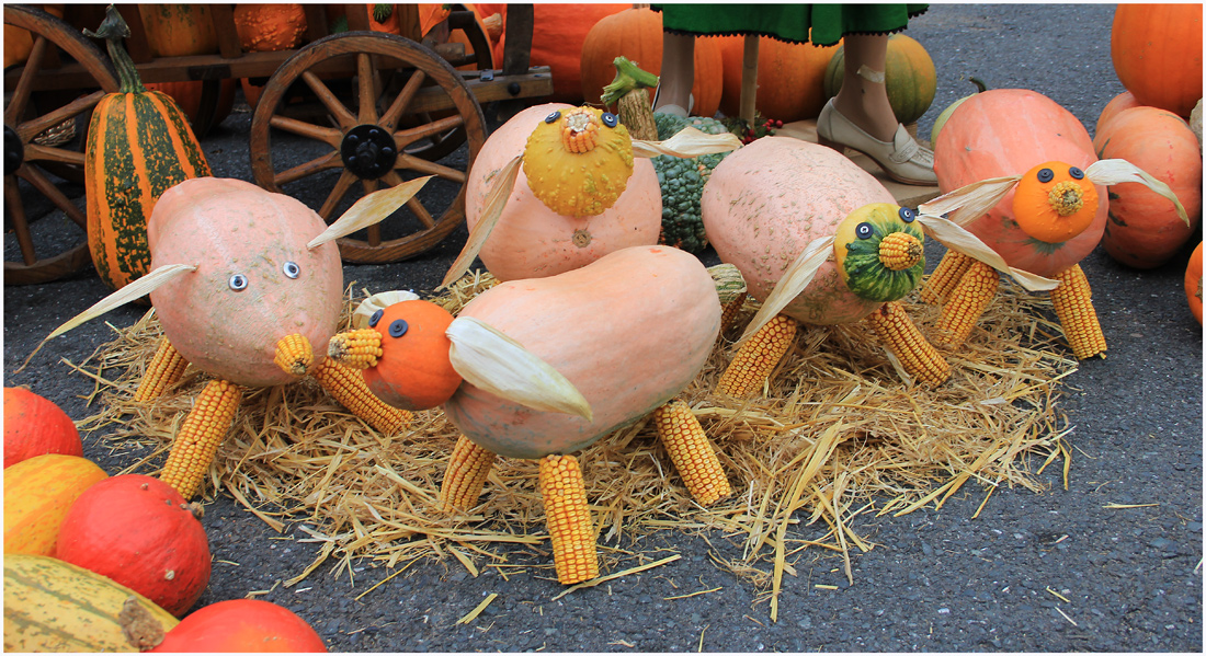 Herbst-Ferkel