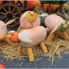 Herbst-Ferkel