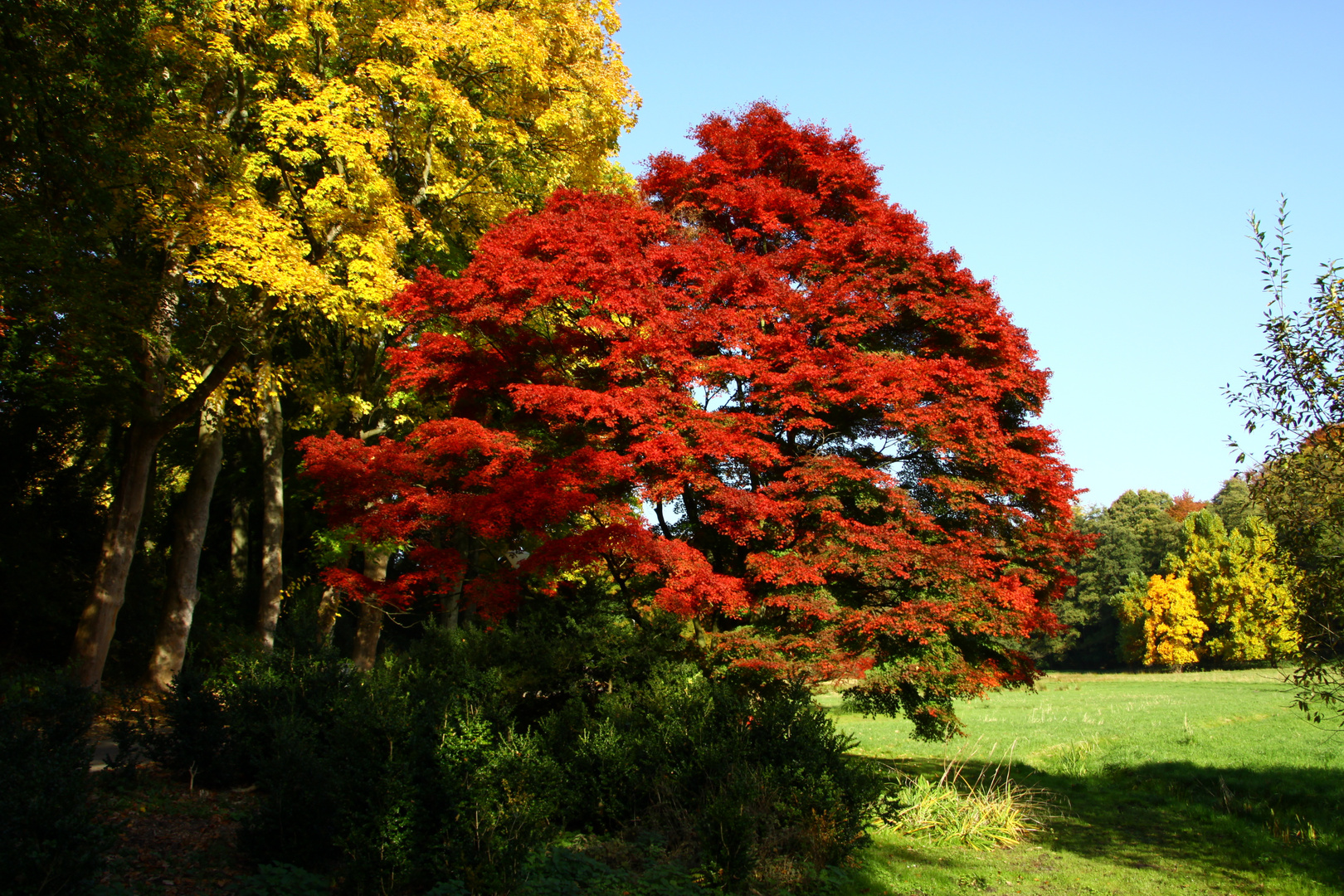 Herbst - Feuer