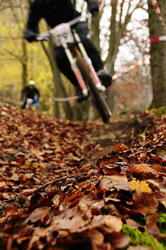 herbst