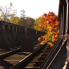 Herbst-Fotografie