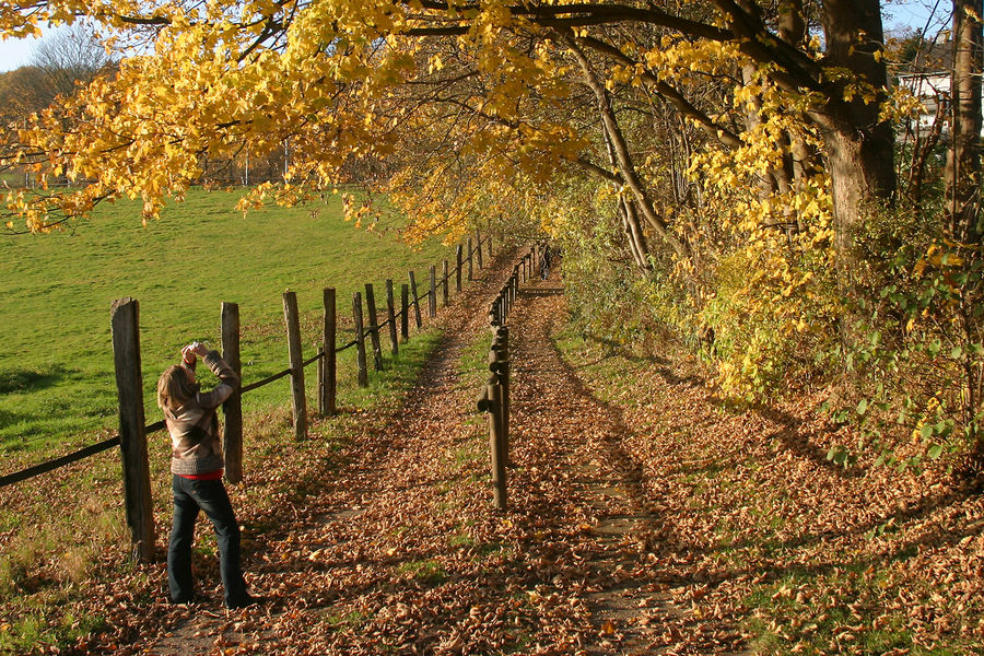Herbst Fotografie Foto Bild Jahreszeiten Herbst Natur Bilder Auf Fotocommunity