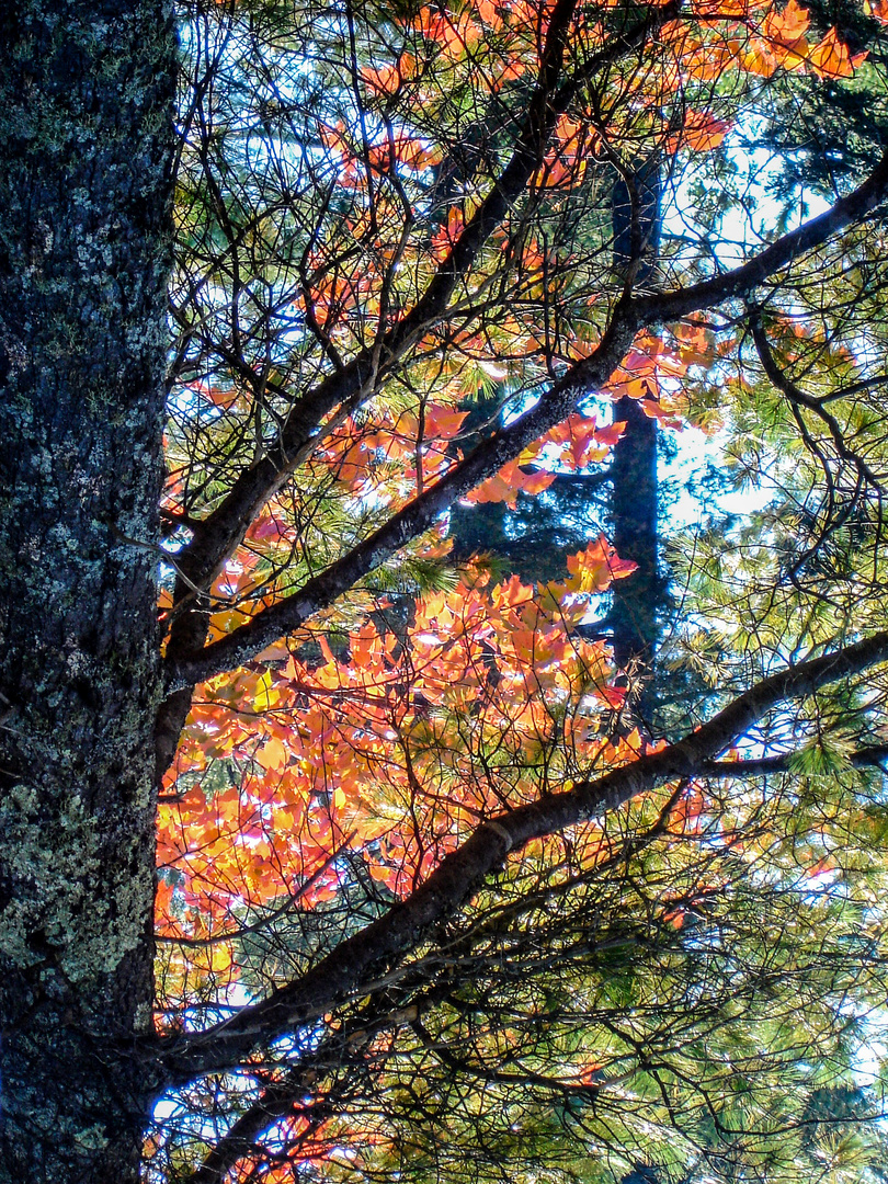 Herbst Fotowalk