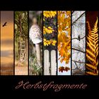 Herbst-Fragmente-Collage