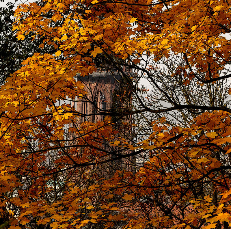 Herbst Freiburg