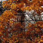 Herbst Freiburg