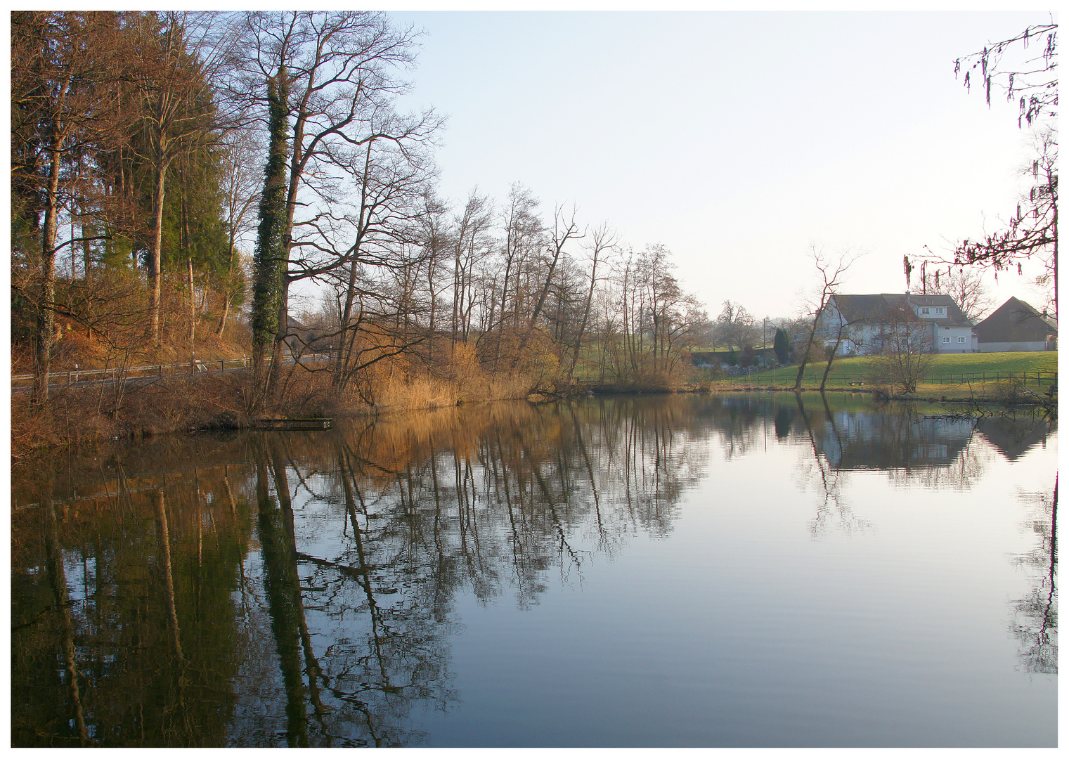 Herbst  Frühling