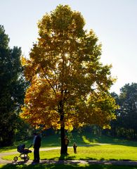 Herbst & Frühling