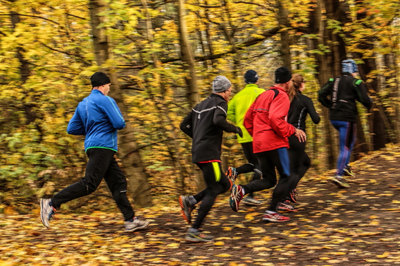 Herbst-Frustlauf (2)