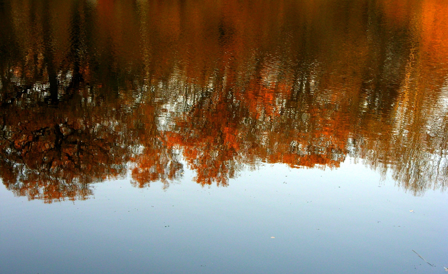 Herbst - "Funkelnder Beckerbruch"