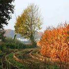 Herbst-Garnierung