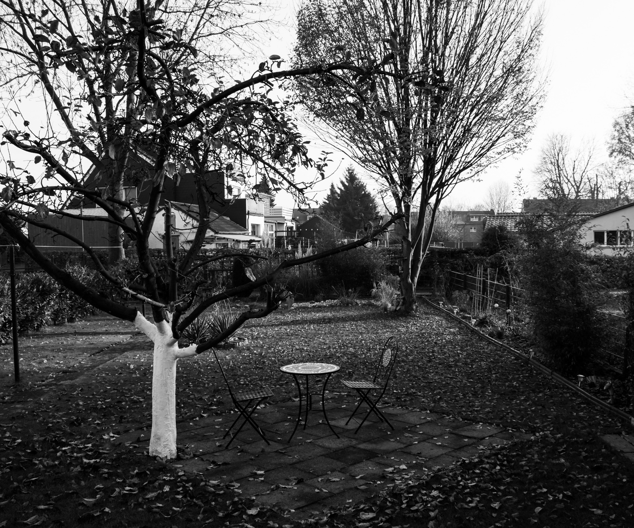 Herbst Garten