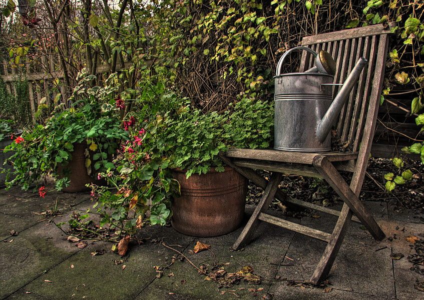 Herbst Garten