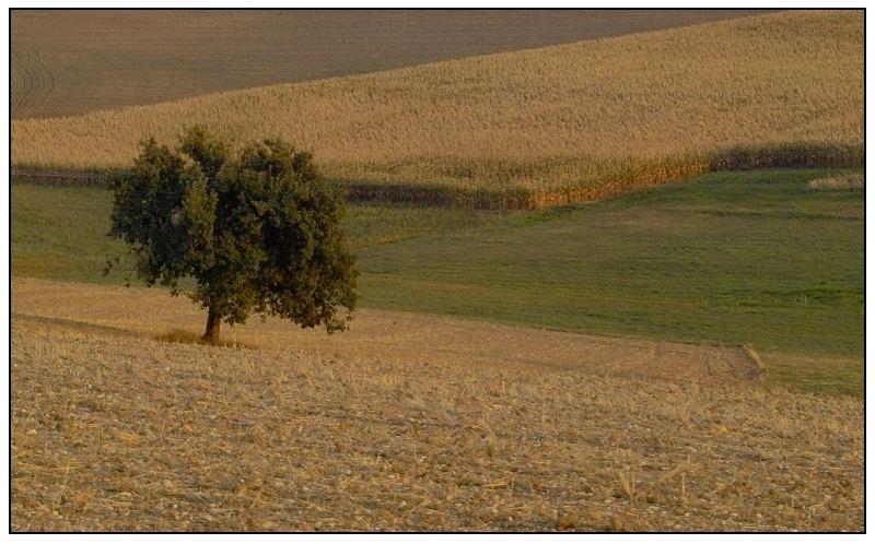 Herbst Gefühl