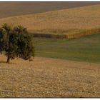 Herbst Gefühl