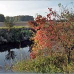 Herbst-Gefühl