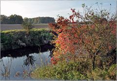 Herbst-Gefühl