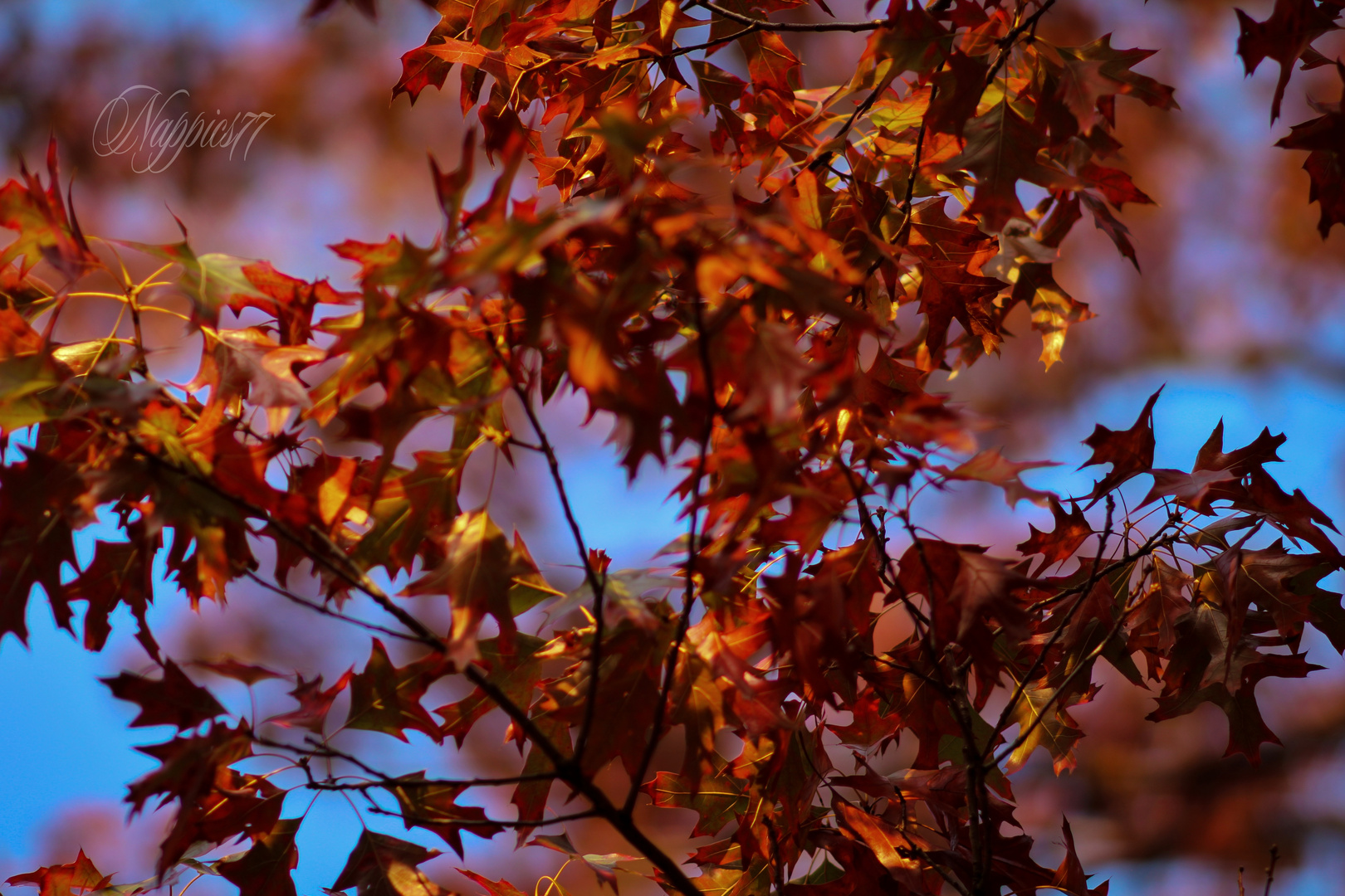 Herbst Gefühle 