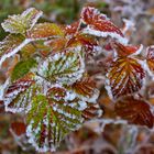 Herbst gegen Winter