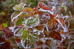 Herbst gegen Winter