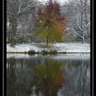 Herbst gegen Winter