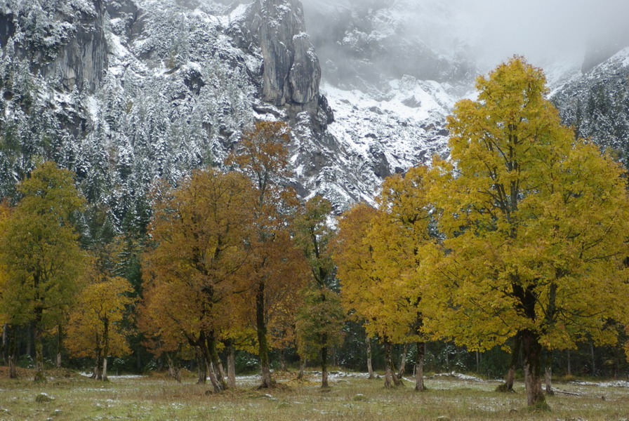 Herbst gegen Winter