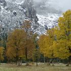 Herbst gegen Winter