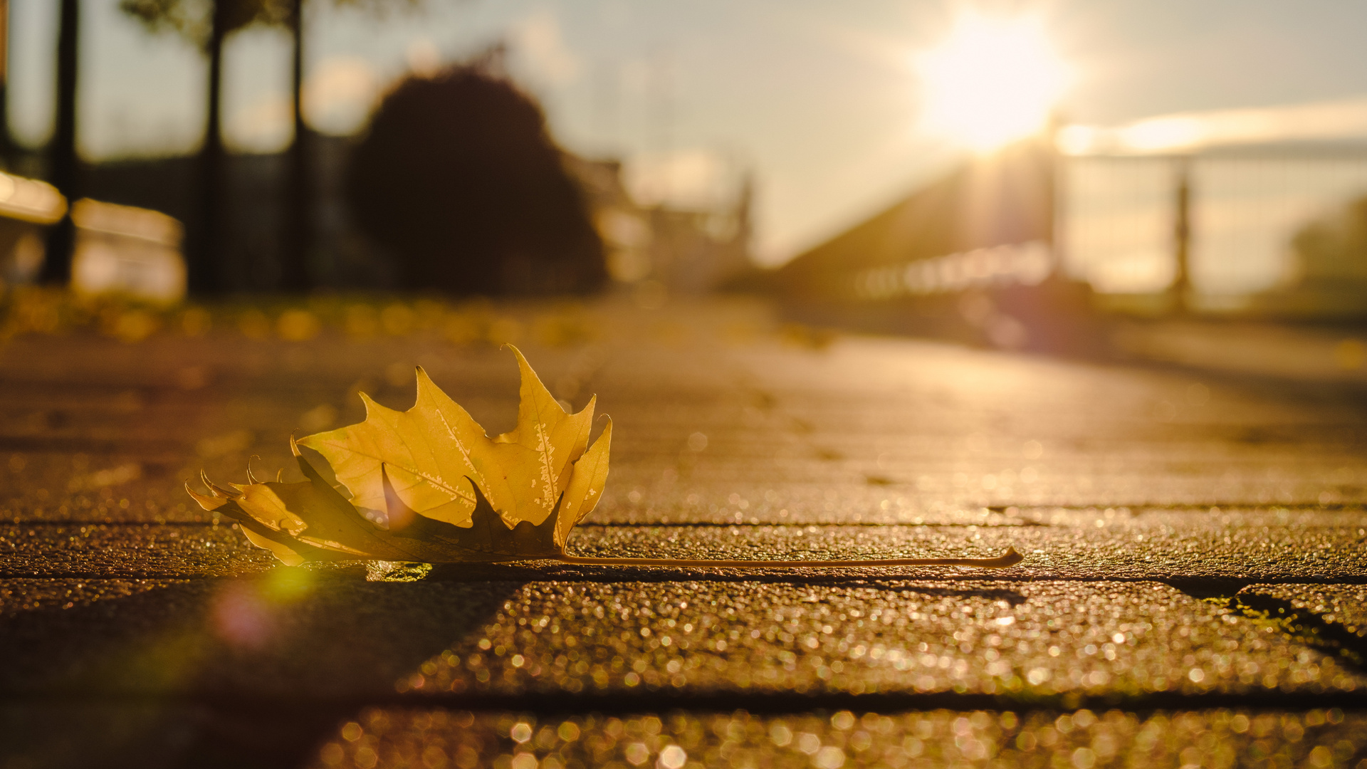 Herbst geht zuende ....