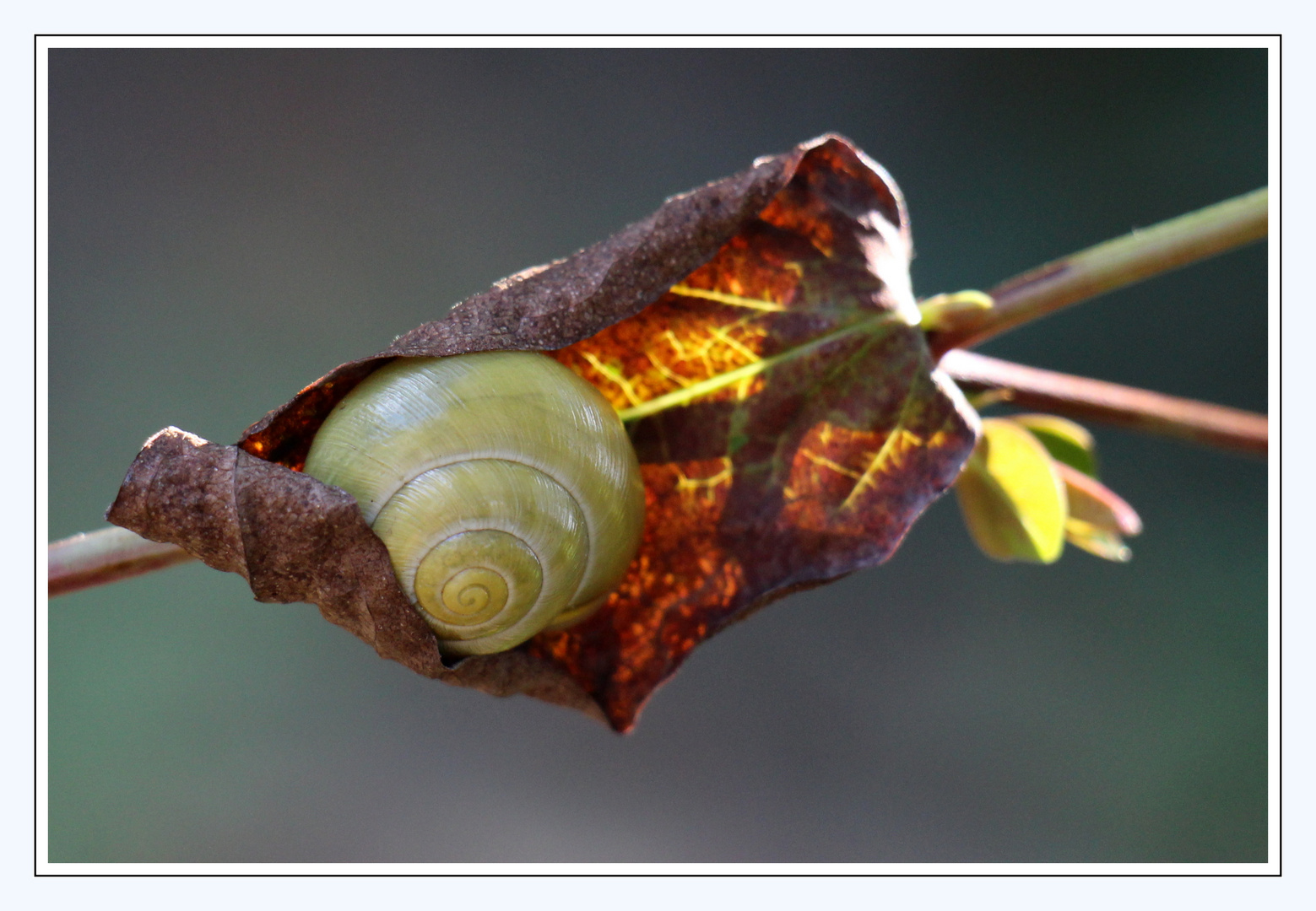  Herbst,  gemütlich...