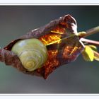  Herbst,  gemütlich...