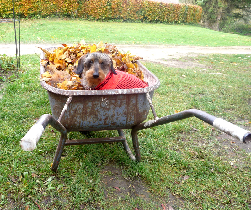 herbst genießen!