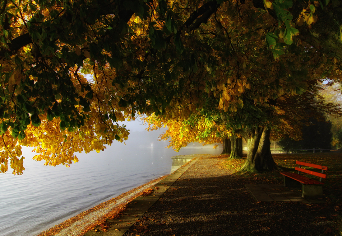 Herbst genießen