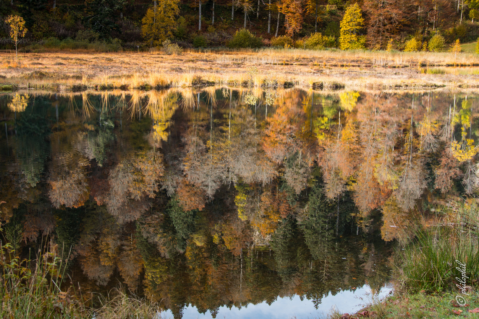 Herbst gespiegelt