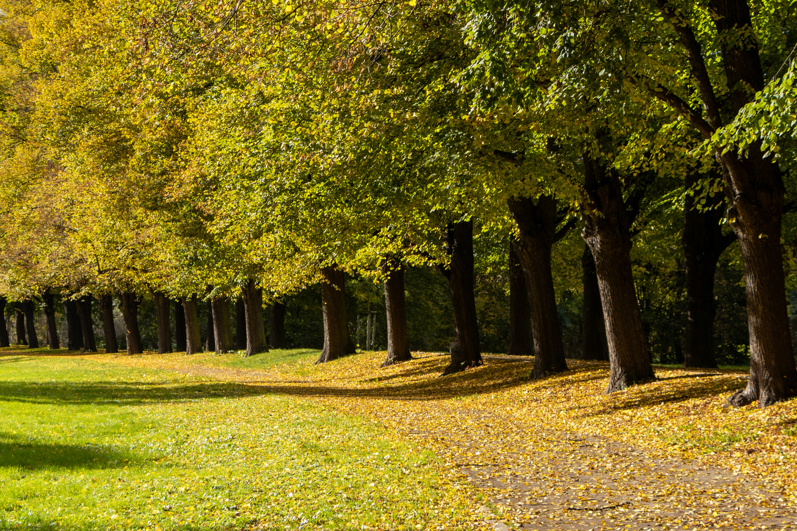 Herbst-Gewand