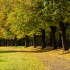 Herbst-Gewand