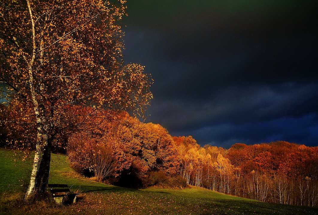 Herbst-Gewitterstimmung im Bayerischen Wald