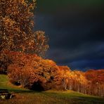 Herbst-Gewitterstimmung im Bayerischen Wald