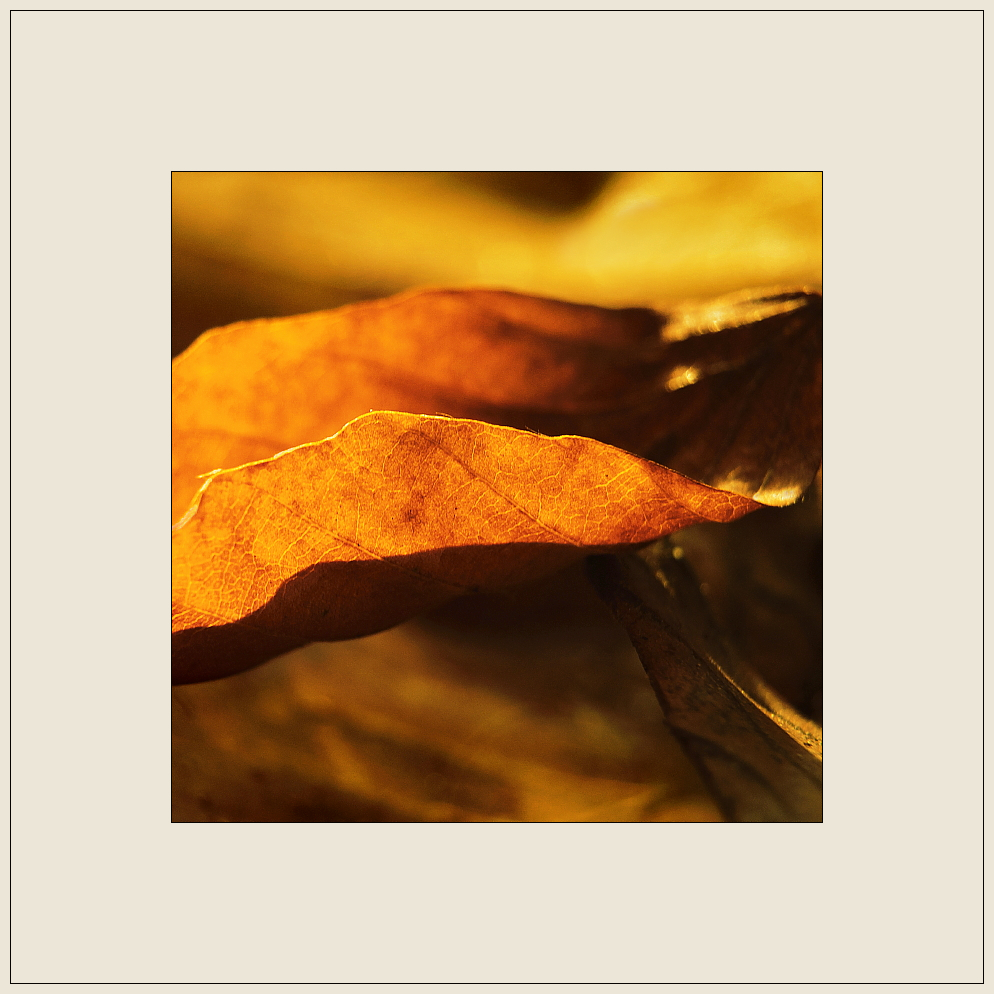 Herbst-Gold