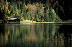 Herbst: Goldenes Laub an den Bäumen und ein Laubteppich auf dem Boden.