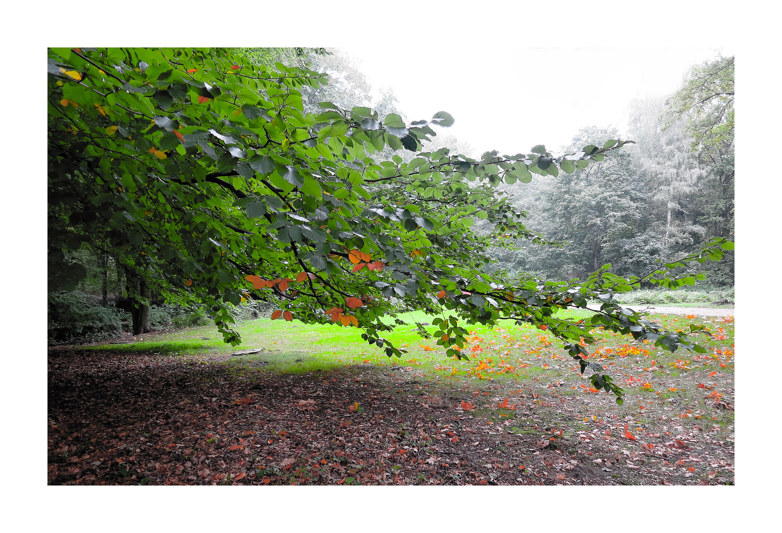 Herbst greift um sich