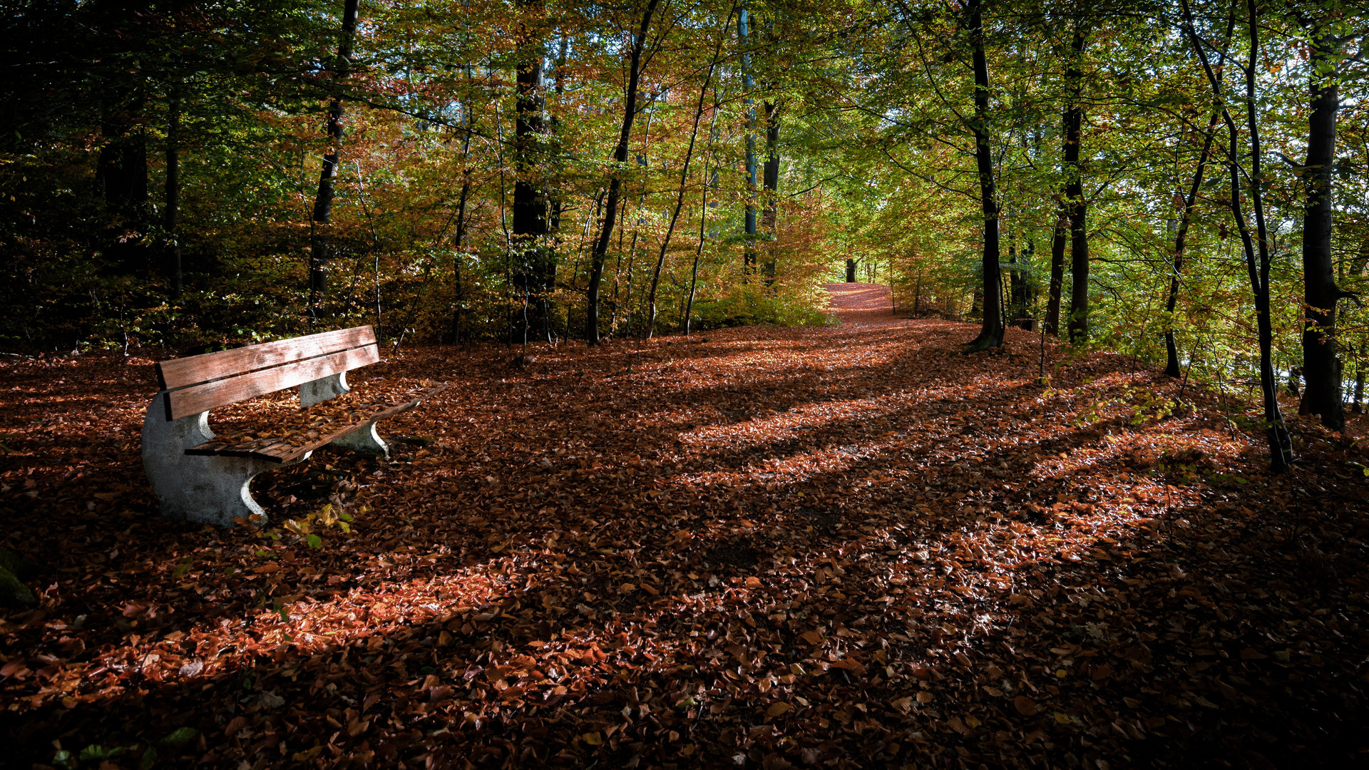 Herbst. Großensee, Schleswig-Holstein