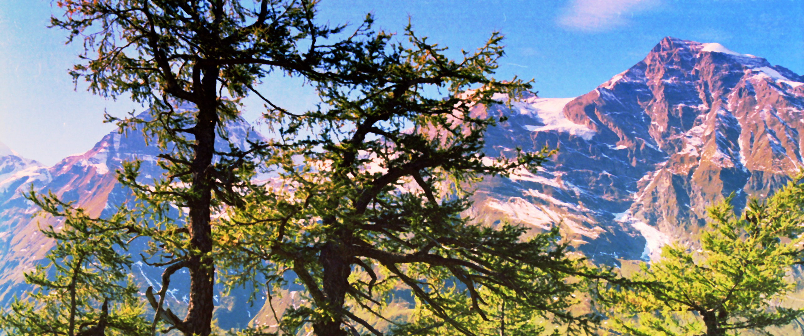 Herbst Großglockner